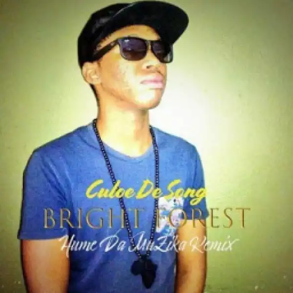 Culoe De Song - Bright Forest (Hume Da Muzika Remix)